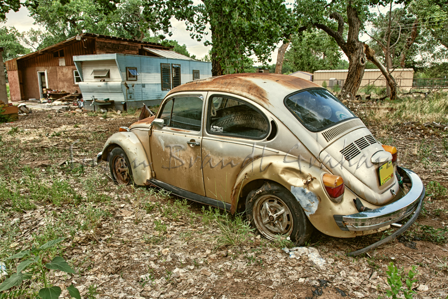 Abandoned on the Bosque #2, ANMPAS