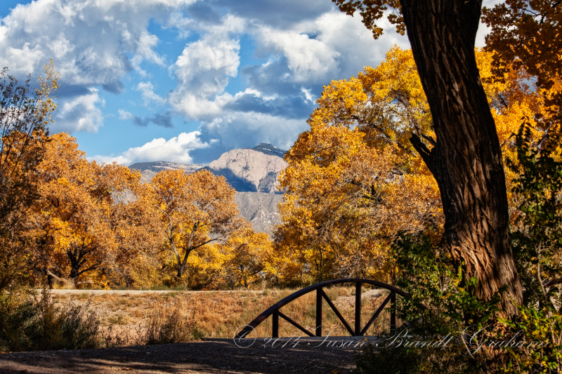 autumn on the Rio Grande