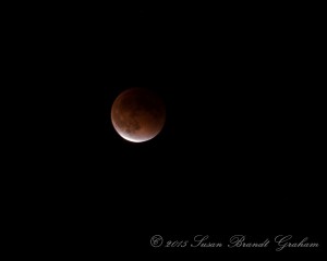blood red lunar eclipse