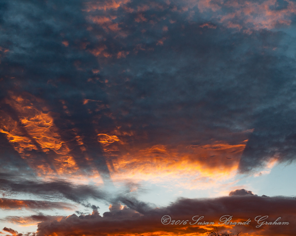 crepuscular rays