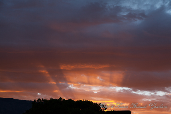 crepuscular rays