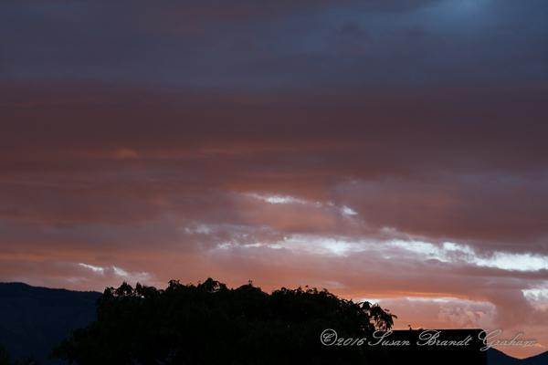 crepuscular rays