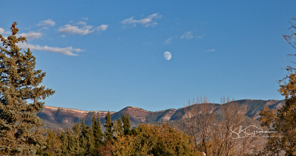 November Moon