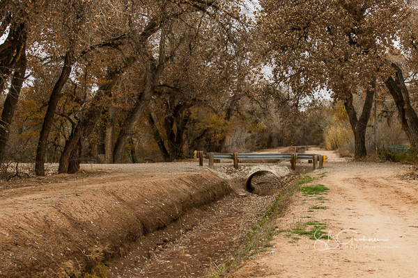 water acequia