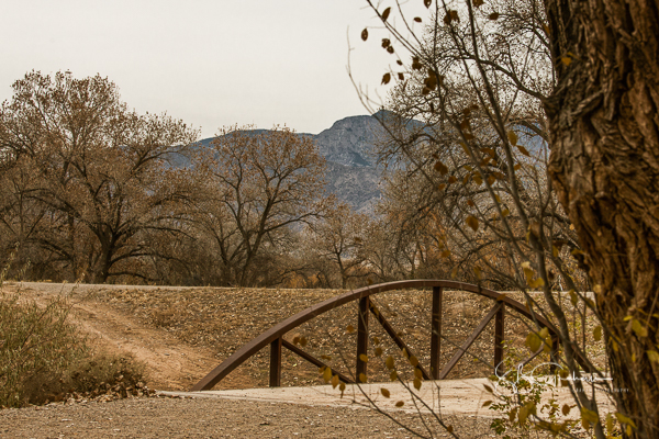 water acequia