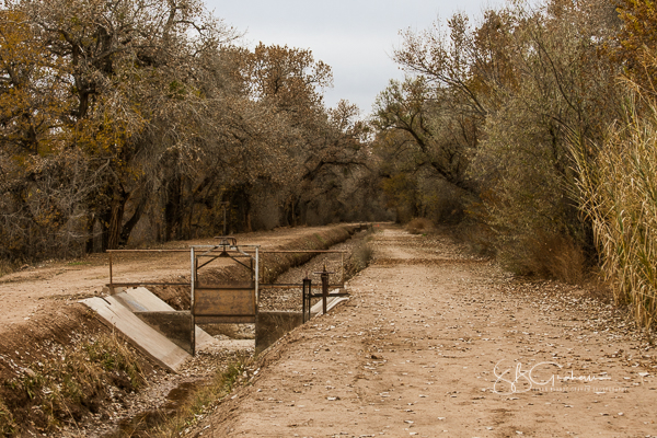 water acequia