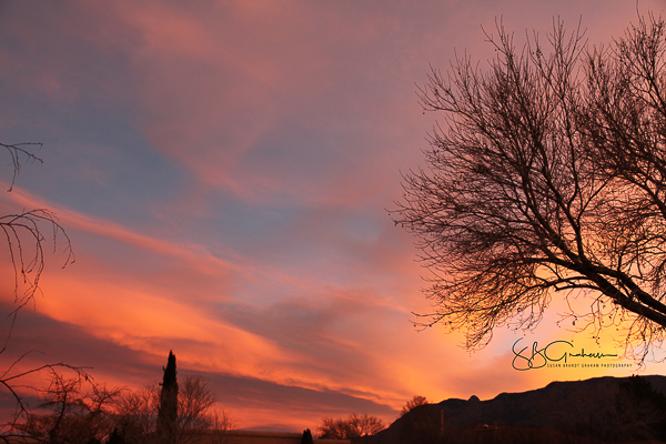 New Mexico sunrise