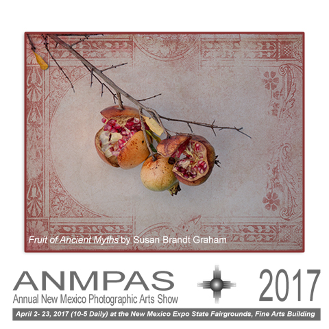 ANMPAS 2017