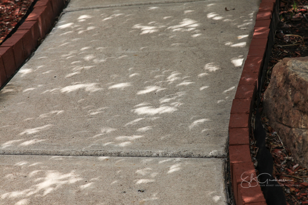 Eclipse Shadows and Bokeh