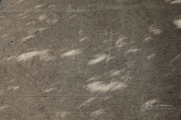 Eclipse Shadows and Bokeh