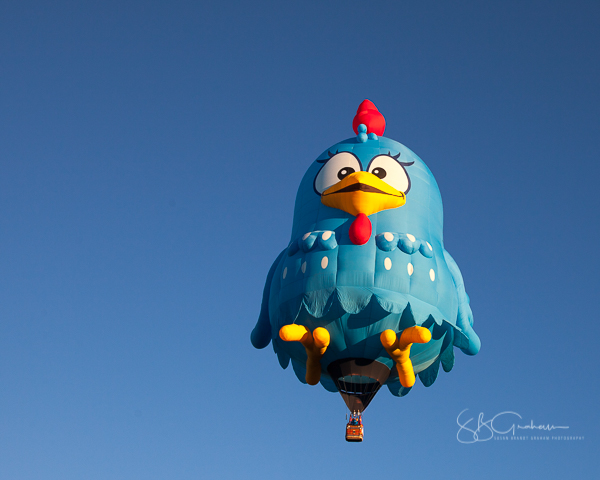 2017 balloon fiesta special shapes