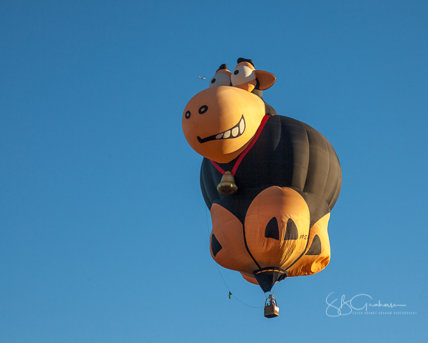 2017 balloon fiesta special shapes