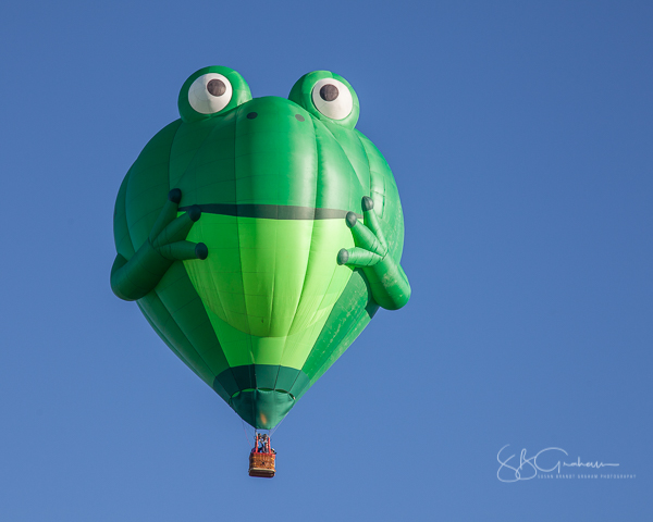 2017 balloon fiesta special shapes