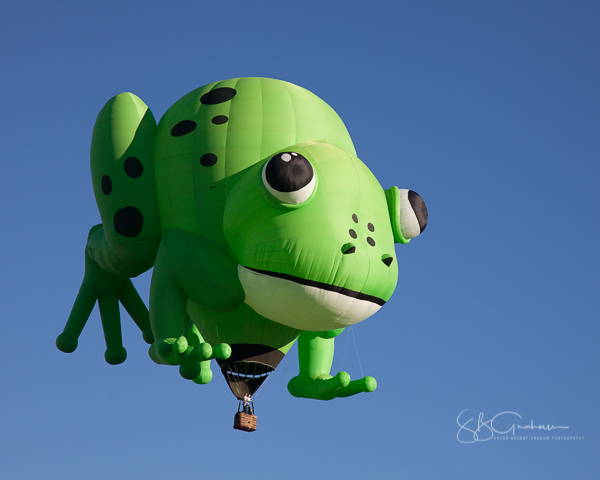 2017 balloon fiesta special shapes
