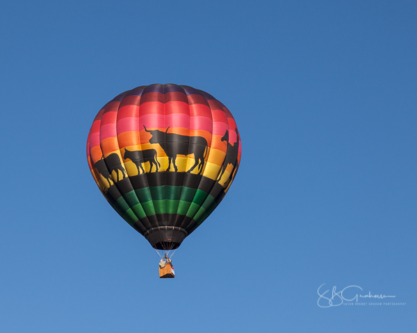 2017 Balloon Fiesta