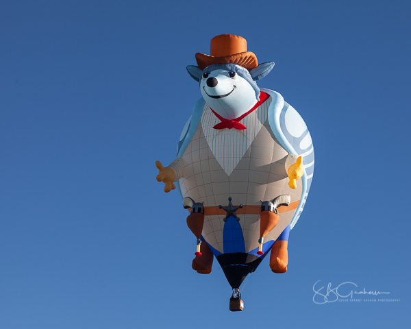 2017 balloon fiesta special shapes