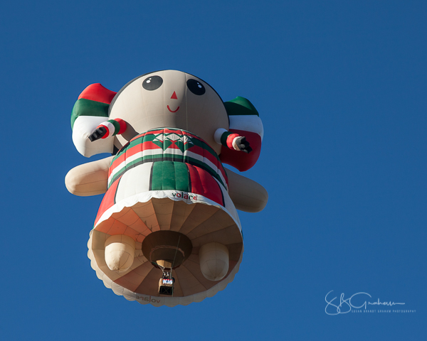 2017 balloon fiesta special shapes