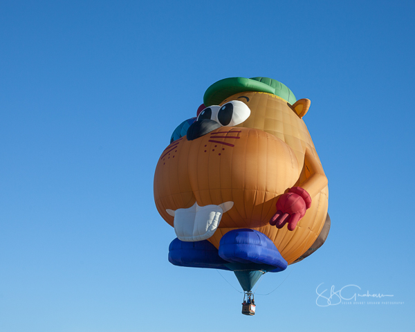 2017 balloon fiesta special shapes