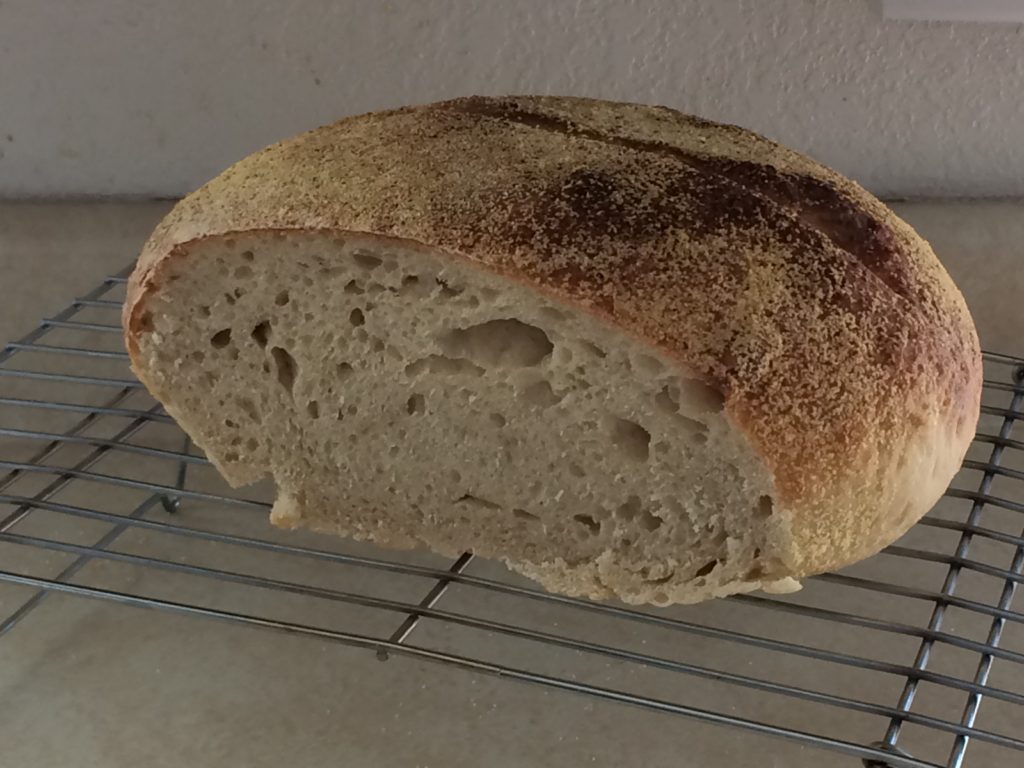 sourdough bread