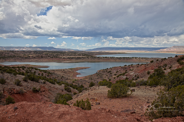 New Mexico