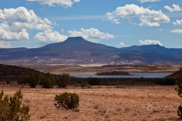 New Mexico