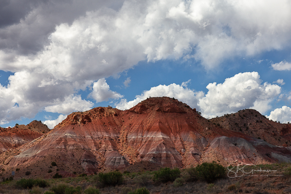 New Mexico