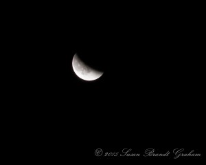 blood red lunar eclipse