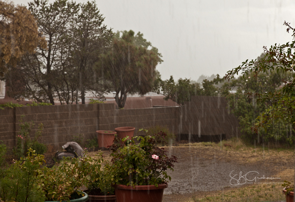 monsoon rain